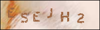 صورة التسجيل