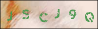 صورة التسجيل