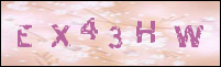 صورة التسجيل