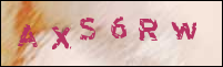 صورة التسجيل
