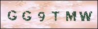 صورة التسجيل