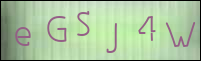 صورة التسجيل