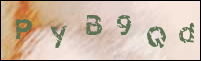 صورة التسجيل
