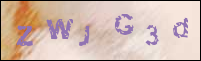 صورة التسجيل