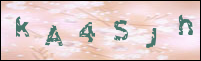 صورة التسجيل