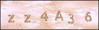 صورة التسجيل