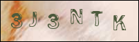 صورة التسجيل