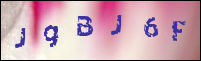 صورة التسجيل