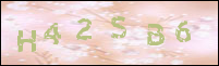 صورة التسجيل