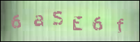 صورة التسجيل