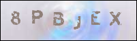 صورة التسجيل