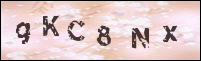 صورة التسجيل