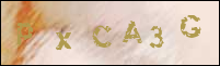 صورة التسجيل