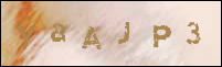صورة التسجيل