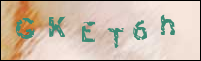 صورة التسجيل