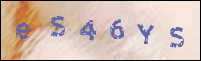 صورة التسجيل
