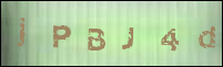 صورة التسجيل