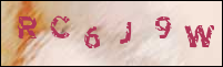 صورة التسجيل