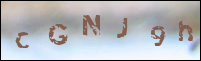 صورة التسجيل