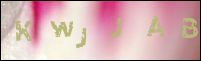 صورة التسجيل