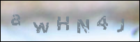صورة التسجيل