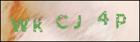 صورة التسجيل