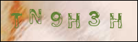 صورة التسجيل