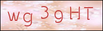 صورة التسجيل