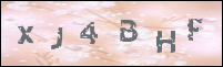 صورة التسجيل