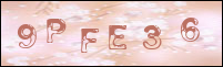 صورة التسجيل