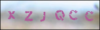 صورة التسجيل