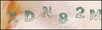 صورة التسجيل