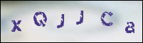 صورة التسجيل