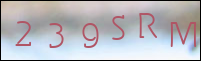 صورة التسجيل