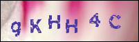 صورة التسجيل
