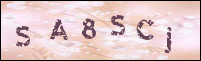 صورة التسجيل