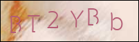 صورة التسجيل