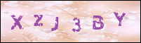 صورة التسجيل