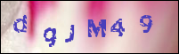 صورة التسجيل