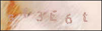 صورة التسجيل