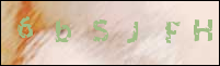صورة التسجيل