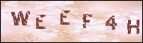 صورة التسجيل