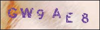 صورة التسجيل