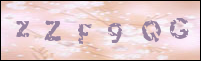 صورة التسجيل