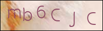 صورة التسجيل