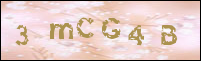 صورة التسجيل