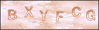 صورة التسجيل